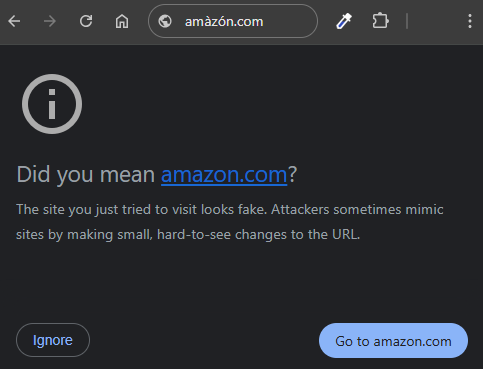 Example Google Chrome warning