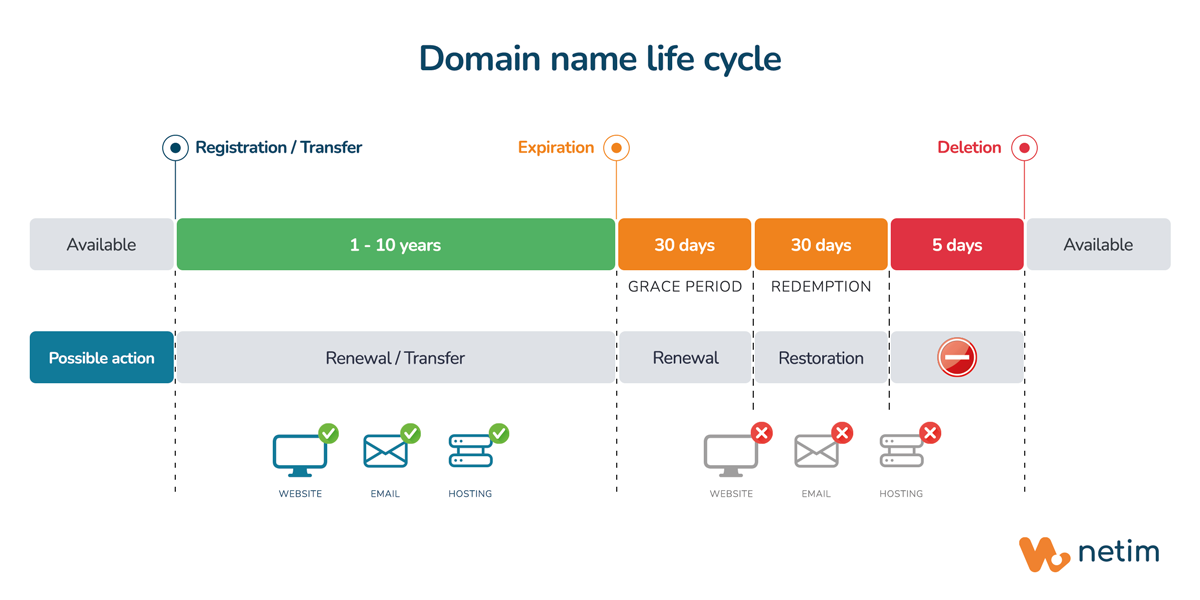 Domain name life cycle