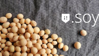 .SOY, an extension with many dimensions!