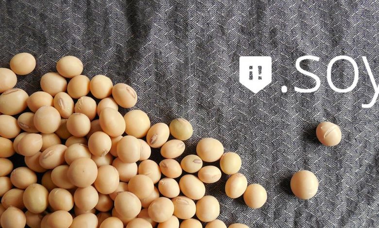 .SOY, an extension with many dimensions!