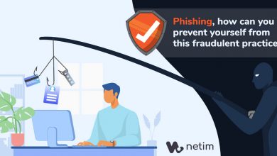 Phishing, how can you prevent yourself from this fraudulent practice?