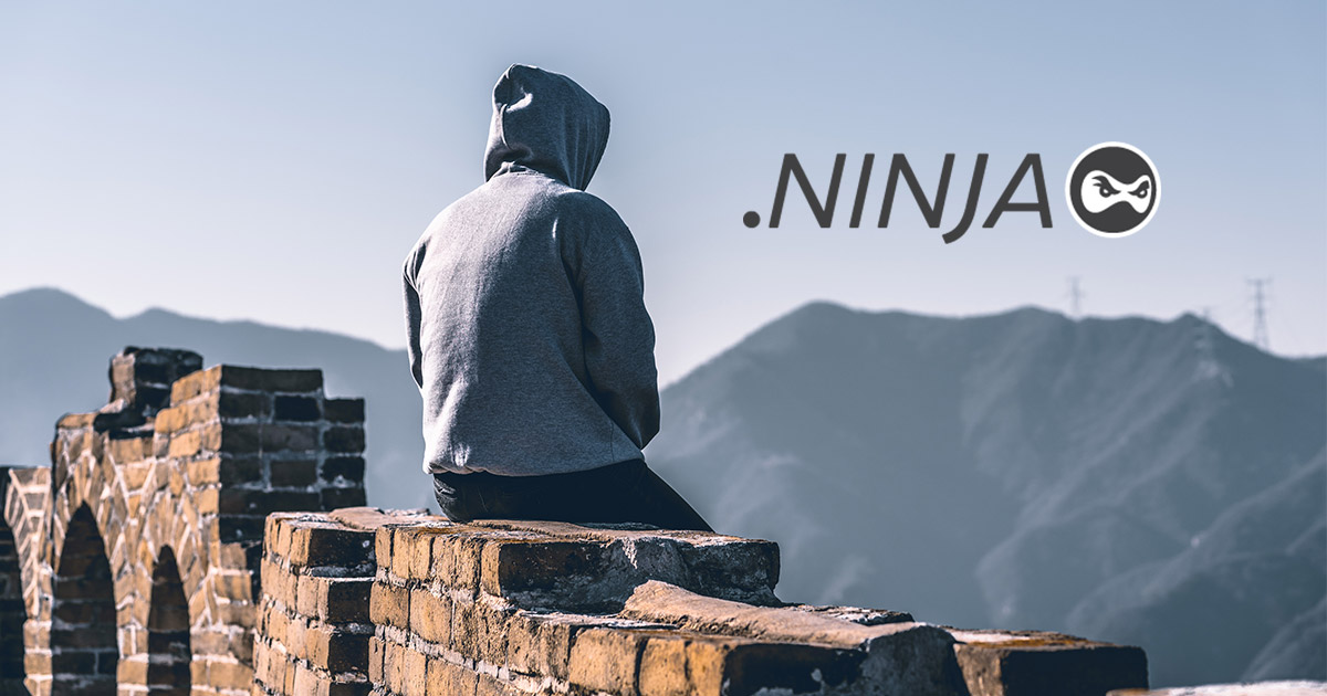 .ninja