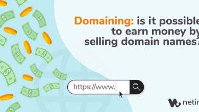 Domaining: is it possible to earn money by selling domain names?