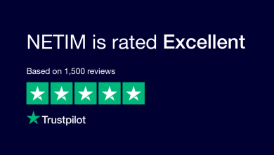 Trustpilot Netim reviews