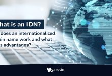 What is an IDN ?