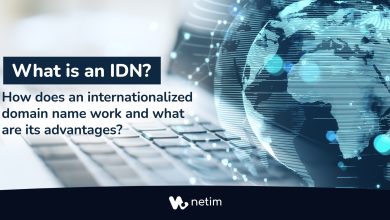 What is an IDN ?