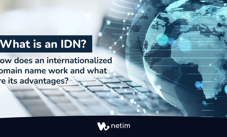 What is an IDN ?