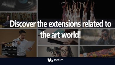 Discover th extension related to the art world