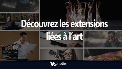 Découvrez les extensions liées à l'art