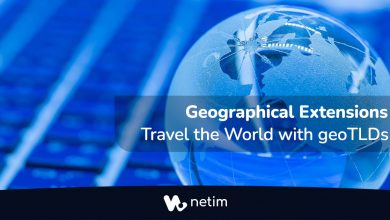 Geographical Extensions: Travel the World with geoTLDs