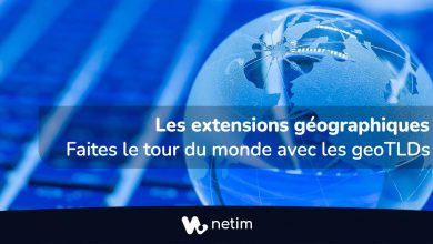 Les extensions géographiques : faites le tour du monde avec les geoTLDs