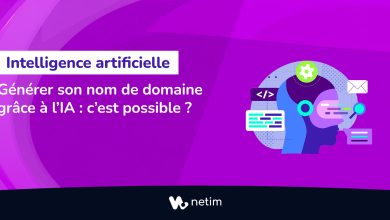 intelligence artificielle nom de domaine