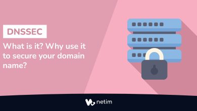What is DNSSEC ?