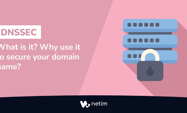 What is DNSSEC ?