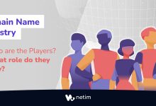 Discover the players of domain names industry