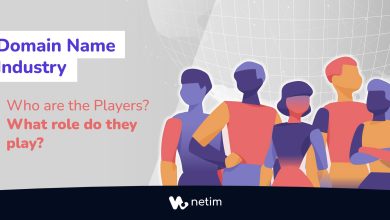 Discover the players of domain names industry