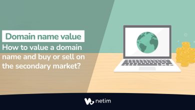how to value a domain name