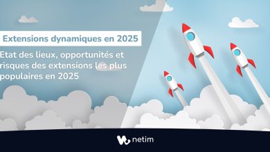 Extensions les plus dynamiques en 2025
