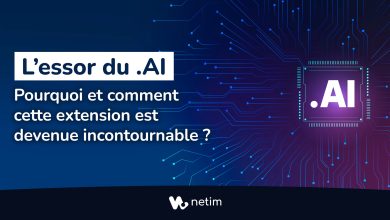 L'essor du .AI