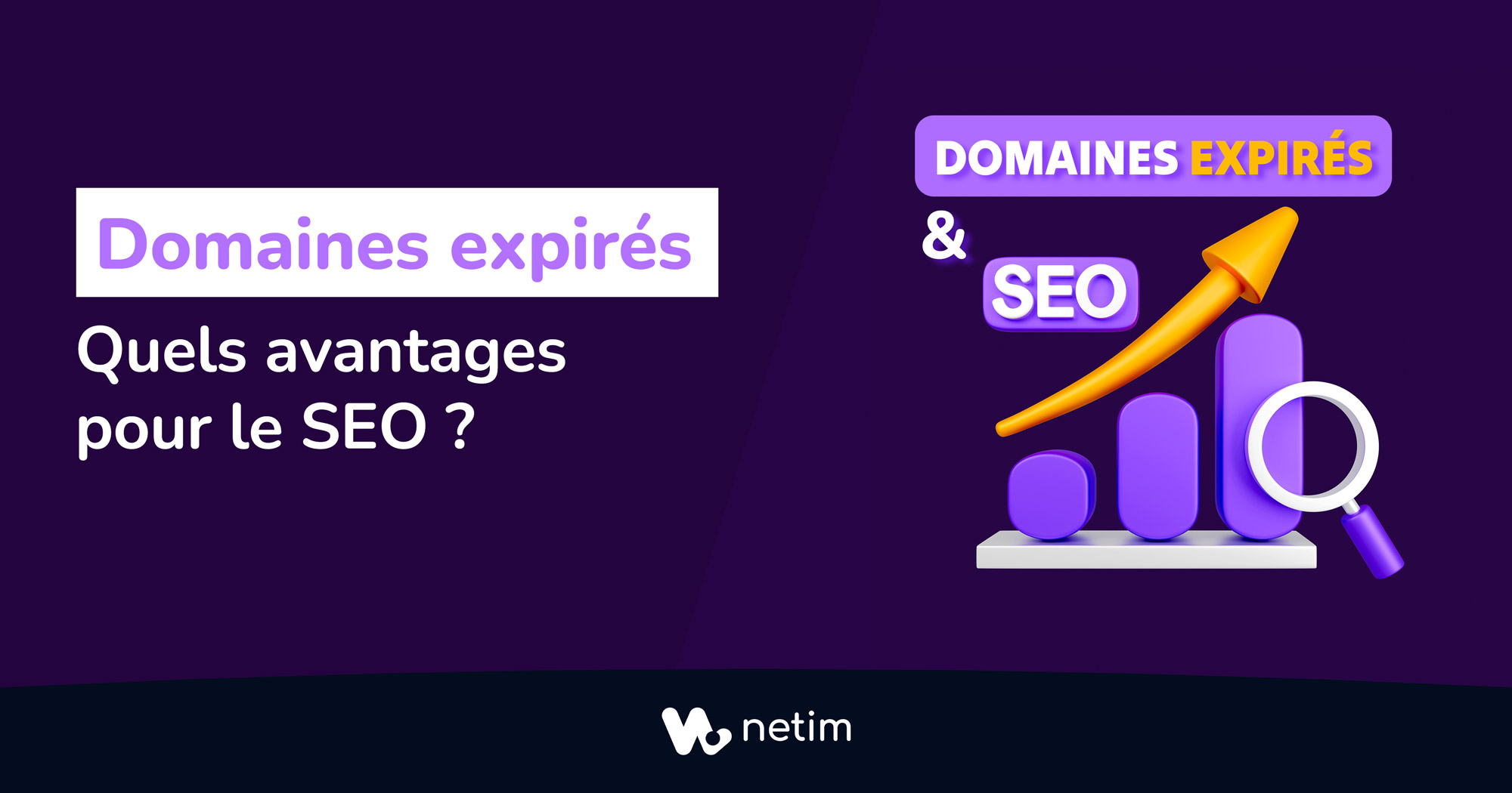 Avantages SEO des domaines expirés