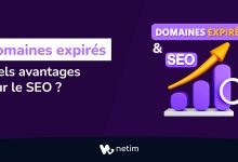 Domaines expirés : quels avantages pour le SEO ?