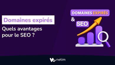 Domaines expirés : quels avantages pour le SEO ?