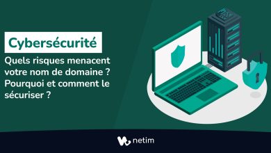 Pourquoi et comment sécuriser votre nom de domaine ?