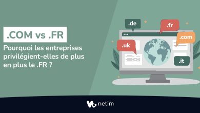 .COM ou .FR ?