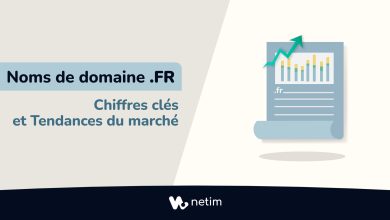 chiffres clés noms de domaine .fr
