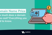 Domain name price
