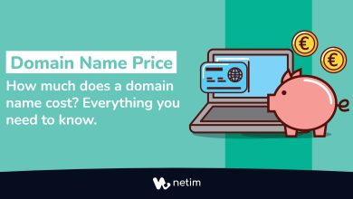 Domain name price