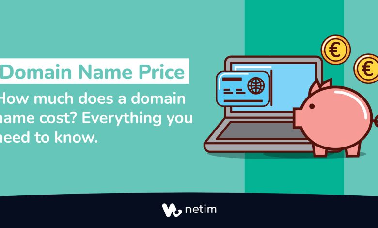 Domain name price