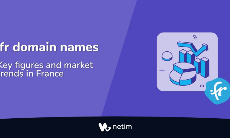 fr domain names key figures and market trends in France