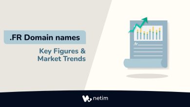 .fr domains: fey figures and market trend