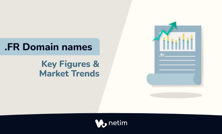 .fr domains: fey figures and market trend