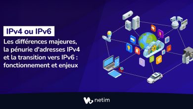 IPv4 ou IPv6 ?