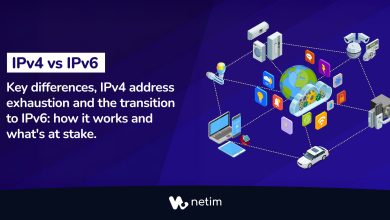 IPv4 or IPv6