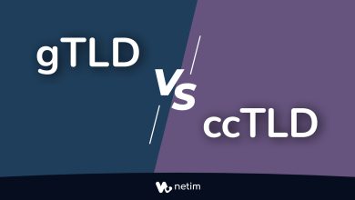 gTLD vs ccTLD
