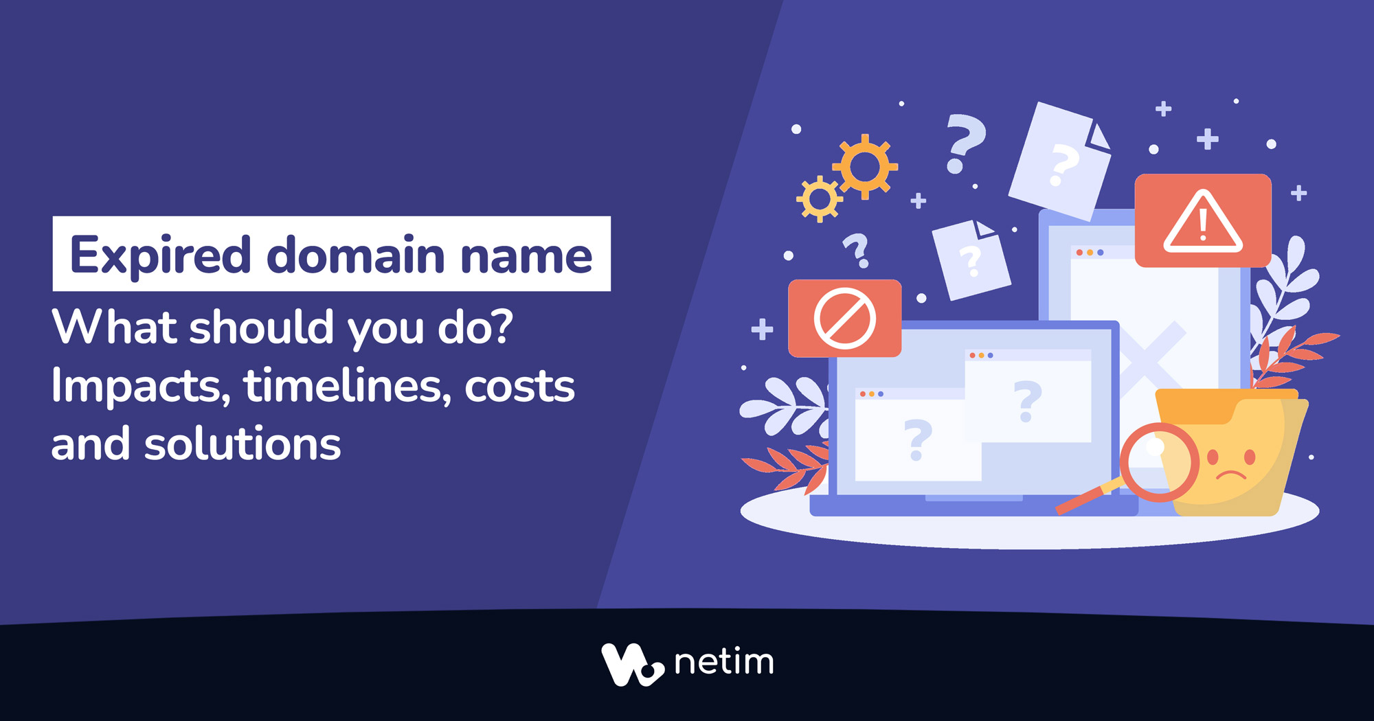 Expired domain name