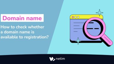 How to check if a domain name is available to registration