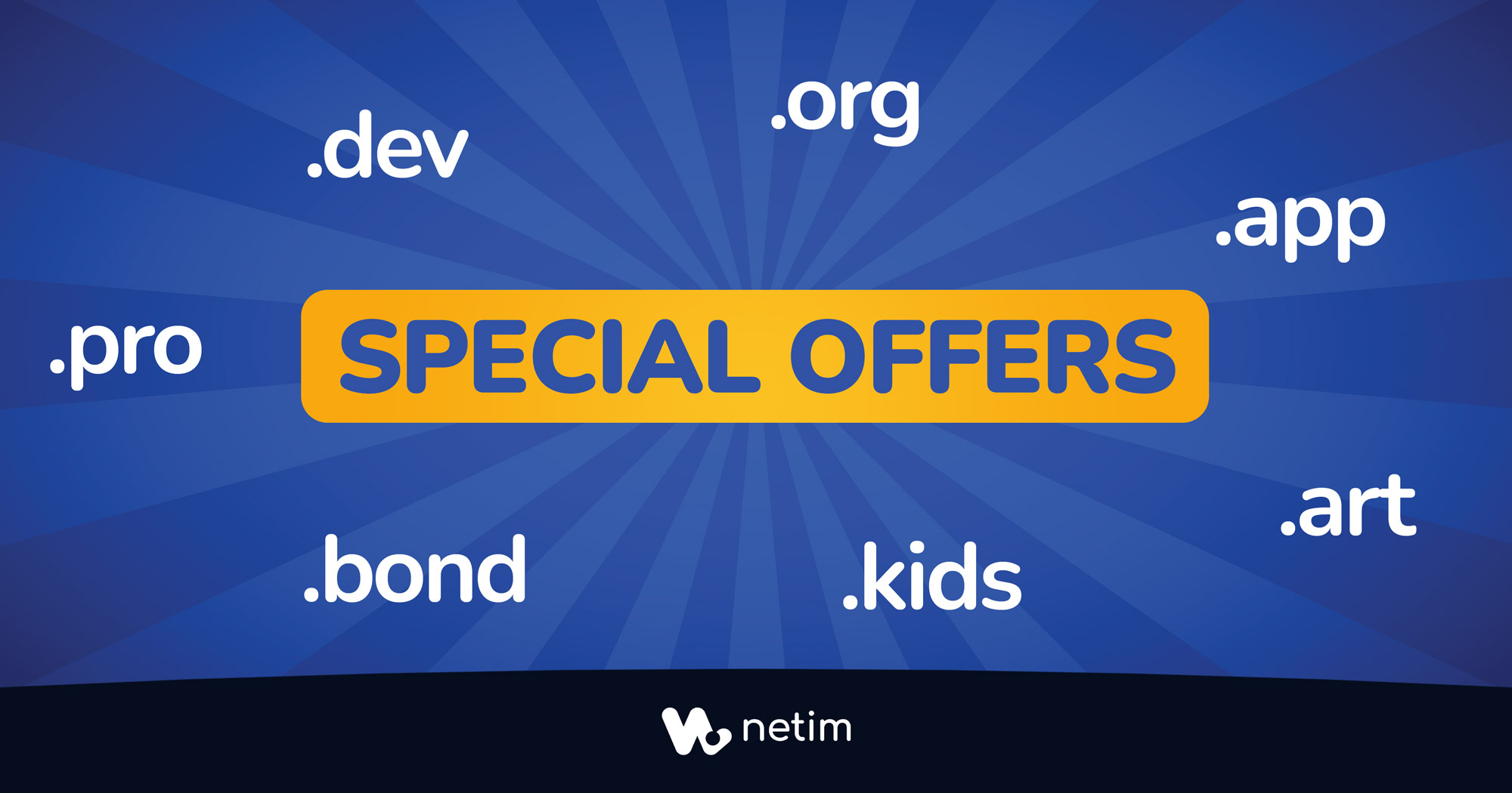 Netim domain names on special offer
