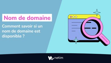 Comment savoir si un nom de domaine est disponible
