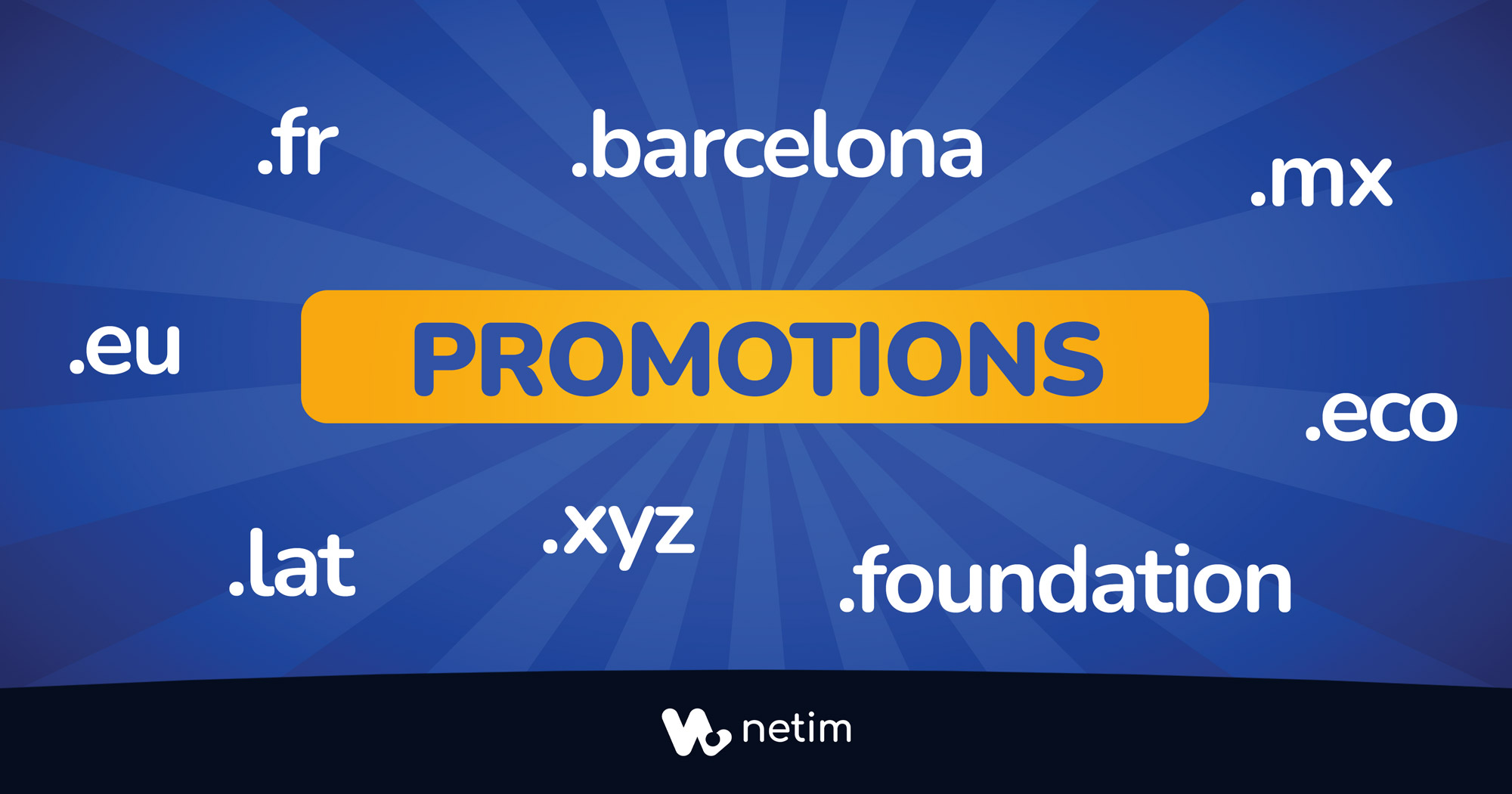 Noms de domaines en promotion chez Netim