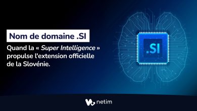 Nom de domaine .si : quand la Super Intelligence bouscule les codes