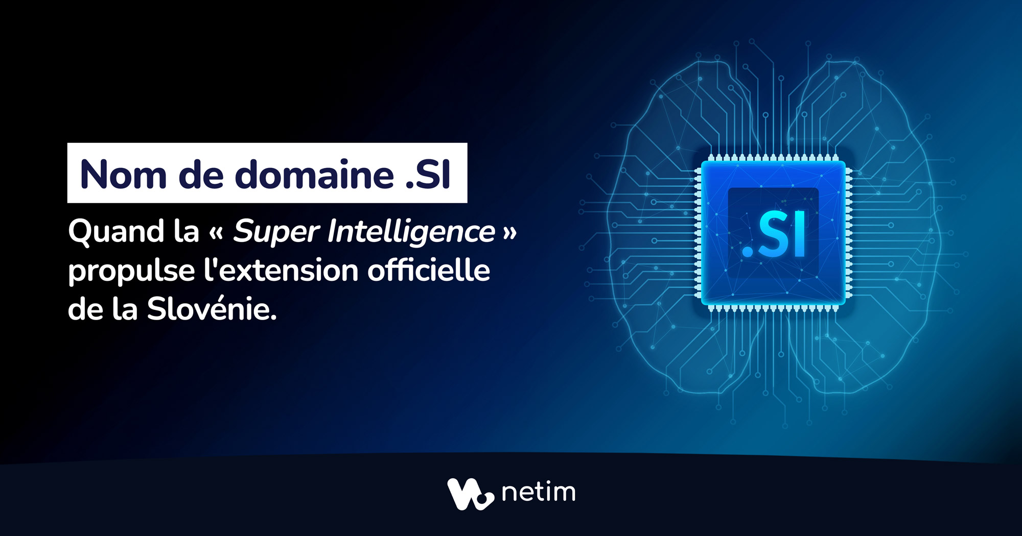 Nom de domaine .si : quand la Super Intelligence bouscule les codes