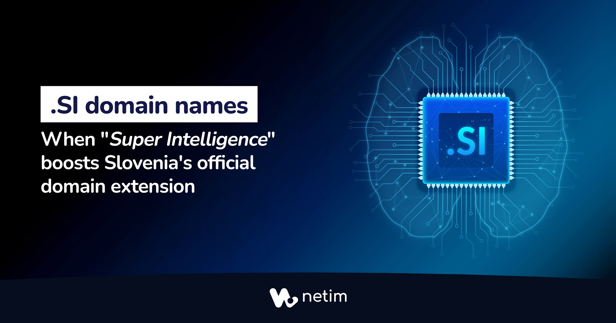 .si domain names: when Super Intelligence boosts Slovenia's official domain extension